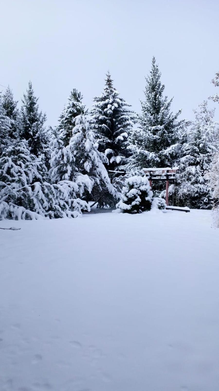 Отель Горный Родник Besqaynar Buitenkant foto